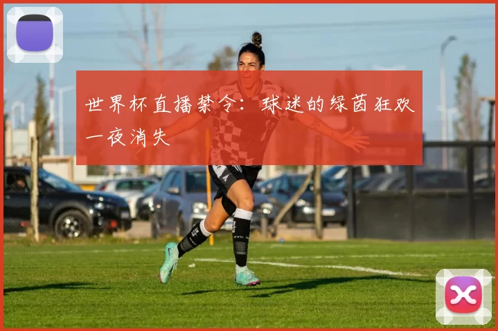 世界杯直播禁令：球迷的绿茵狂欢一夜消失