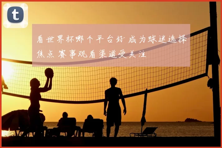 看世界杯哪个平台好 成为球迷选择焦点 赛事观看渠道受关注