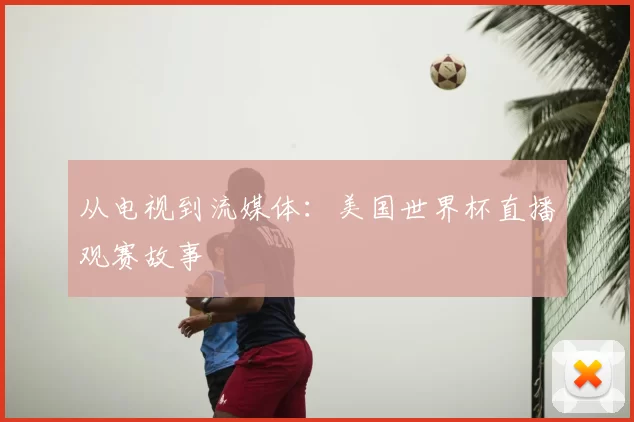 从电视到流媒体：美国世界杯直播观赛故事