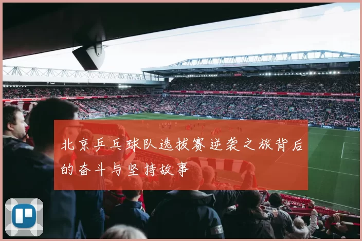 北京乒乓球队选拔赛逆袭之旅背后的奋斗与坚持故事