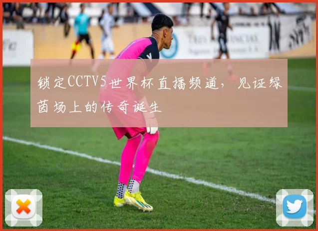 锁定CCTV5世界杯直播频道，见证绿茵场上的传奇诞生