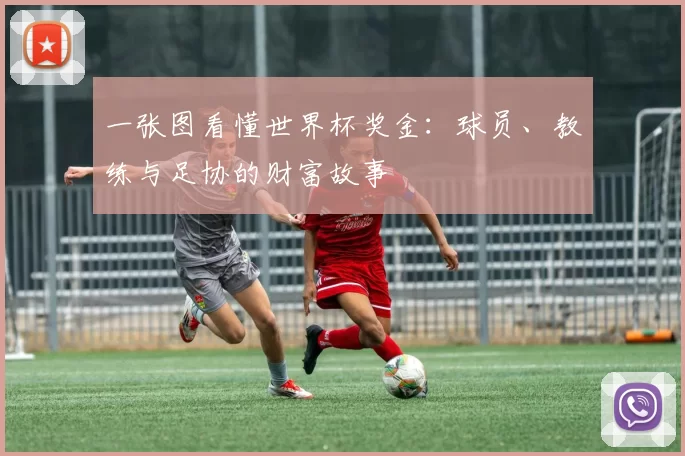 一张图看懂世界杯奖金：球员、教练与足协的财富故事