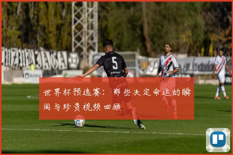 世界杯预选赛：那些决定命运的瞬间与珍贵视频回顾