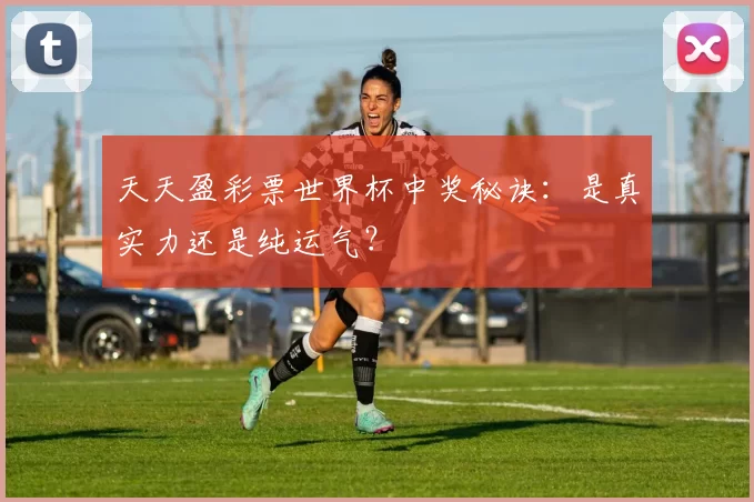 天天盈彩票世界杯中奖秘诀：是真实力还是纯运气？